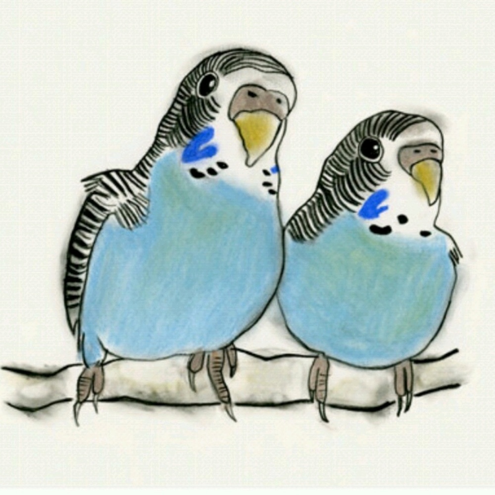 Meet your Posher, Leigh